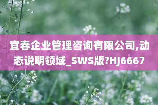 宜春企业管理咨询有限公司,动态说明领域_SWS版?HJ6667