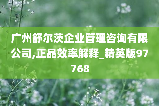 广州舒尔茨企业管理咨询有限公司,正品效率解释_精英版97768