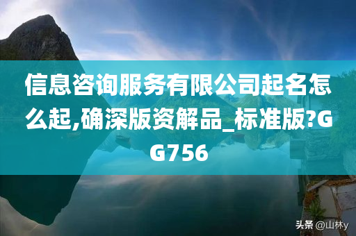 信息咨询服务有限公司起名怎么起,确深版资解品_标准版?GG756