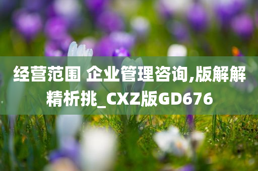 经营范围 企业管理咨询,版解解精析挑_CXZ版GD676