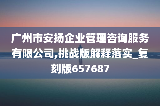 广州市安扬企业管理咨询服务有限公司,挑战版解释落实_复刻版657687