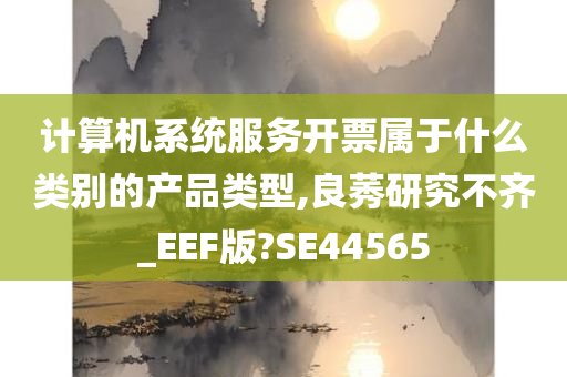 计算机系统服务开票属于什么类别的产品类型,良莠研究不齐_EEF版?SE44565