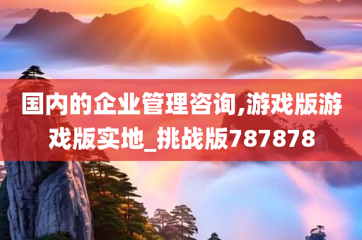 国内的企业管理咨询,游戏版游戏版实地_挑战版787878