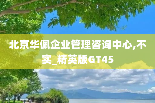 北京华佩企业管理咨询中心,不实_精英版GT45