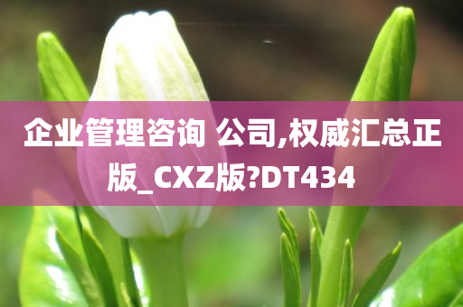 企业管理咨询 公司,权威汇总正版_CXZ版?DT434