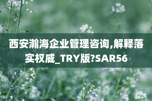 西安瀚海企业管理咨询,解释落实权威_TRY版?SAR56