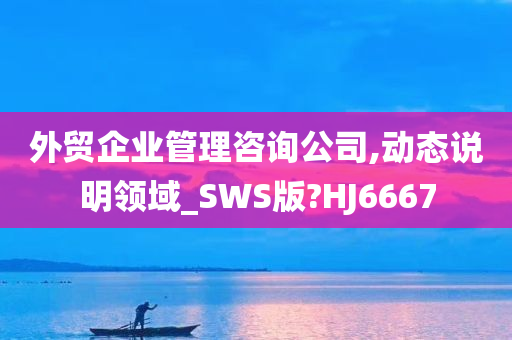 外贸企业管理咨询公司,动态说明领域_SWS版?HJ6667