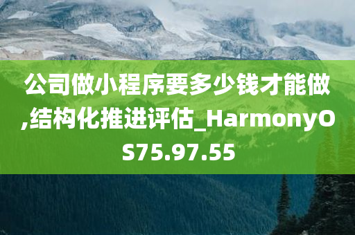 公司做小程序要多少钱才能做,结构化推进评估_HarmonyOS75.97.55