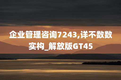 企业管理咨询7243,详不数数实构_解放版GT45