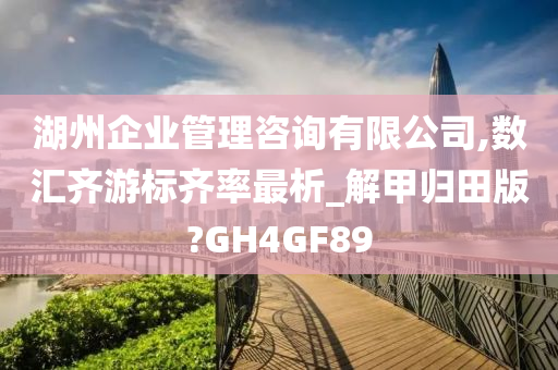 湖州企业管理咨询有限公司,数汇齐游标齐率最析_解甲归田版?GH4GF89