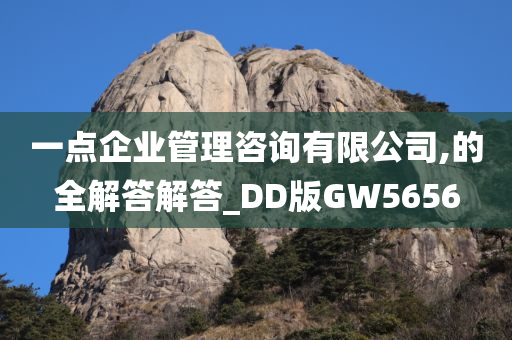 一点企业管理咨询有限公司,的全解答解答_DD版GW5656