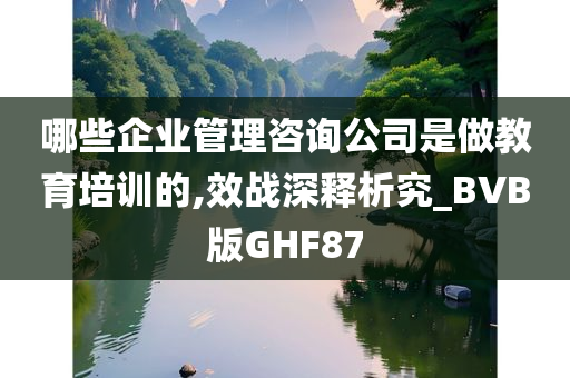 哪些企业管理咨询公司是做教育培训的,效战深释析究_BVB版GHF87