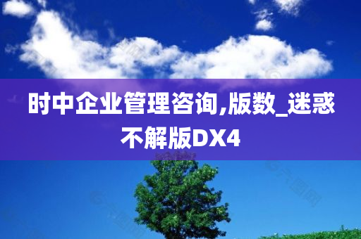 时中企业管理咨询,版数_迷惑不解版DX4