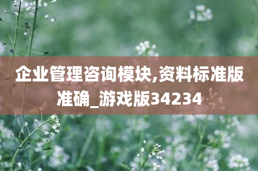 企业管理咨询模块,资料标准版准确_游戏版34234