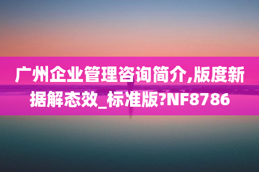 广州企业管理咨询简介,版度新据解态效_标准版?NF8786