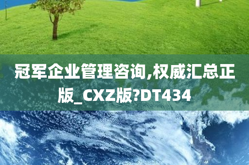 冠军企业管理咨询,权威汇总正版_CXZ版?DT434