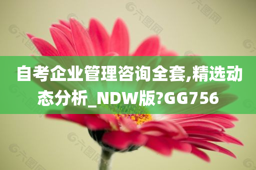 自考企业管理咨询全套,精选动态分析_NDW版?GG756