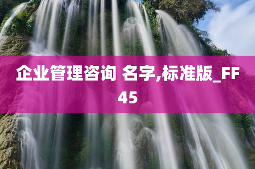 企业管理咨询 名字,标准版_FF45