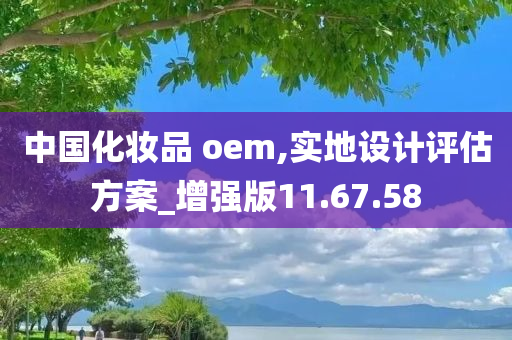 中国化妆品 oem,实地设计评估方案_增强版11.67.58