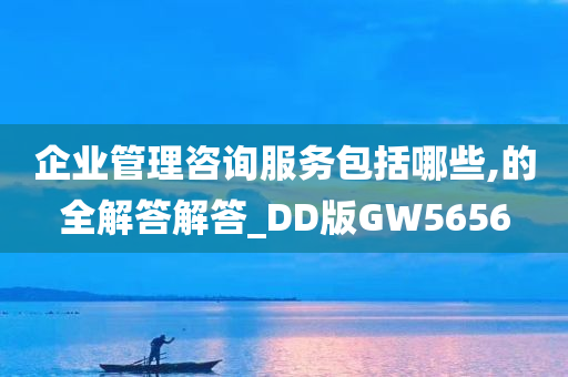 企业管理咨询服务包括哪些,的全解答解答_DD版GW5656