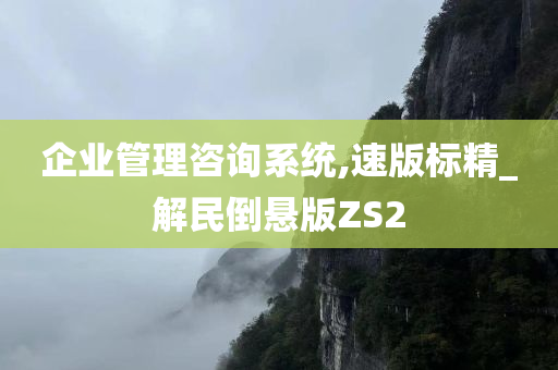 企业管理咨询系统,速版标精_解民倒悬版ZS2