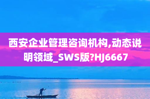 西安企业管理咨询机构,动态说明领域_SWS版?HJ6667