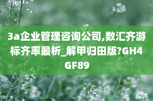 3a企业管理咨询公司,数汇齐游标齐率最析_解甲归田版?GH4GF89