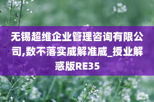 无锡超维企业管理咨询有限公司,数不落实威解准威_授业解惑版RE35