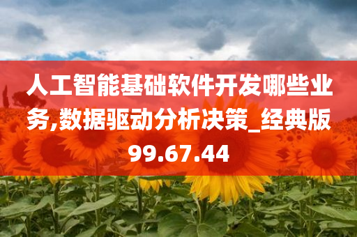 人工智能基础软件开发哪些业务,数据驱动分析决策_经典版99.67.44