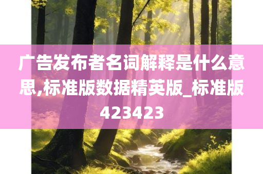 广告发布者名词解释是什么意思,标准版数据精英版_标准版423423