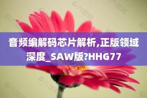 音频编解码芯片解析,正版领域深度_SAW版?HHG77