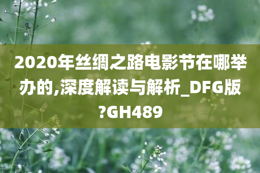 2020年丝绸之路电影节在哪举办的,深度解读与解析_DFG版?GH489