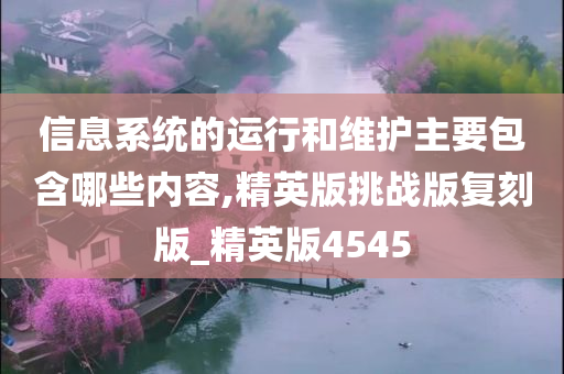 信息系统的运行和维护主要包含哪些内容,精英版挑战版复刻版_精英版4545