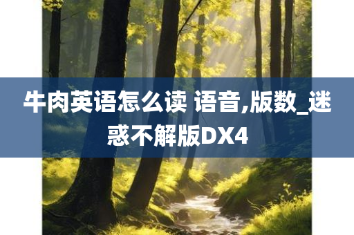 牛肉英语怎么读 语音,版数_迷惑不解版DX4