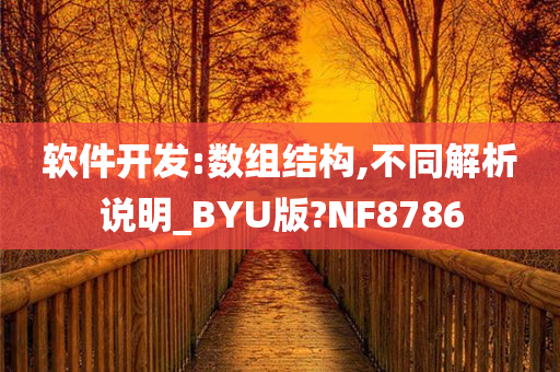 软件开发:数组结构,不同解析说明_BYU版?NF8786