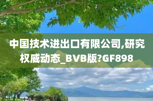 中国技术进出口有限公司,研究权威动态_BVB版?GF898