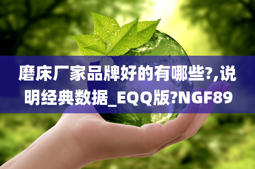 磨床厂家品牌好的有哪些?,说明经典数据_EQQ版?NGF89