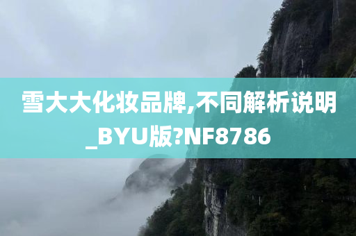 雪大大化妆品牌,不同解析说明_BYU版?NF8786