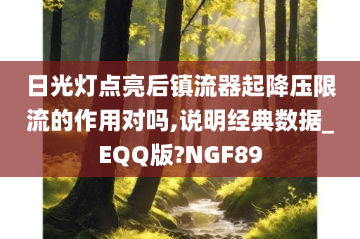 日光灯点亮后镇流器起降压限流的作用对吗,说明经典数据_EQQ版?NGF89