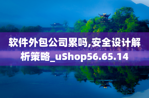 软件外包公司累吗,安全设计解析策略_uShop56.65.14