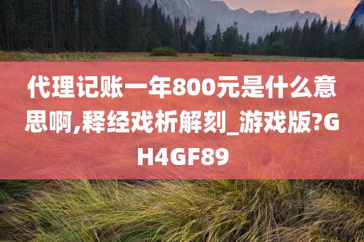 代理记账一年800元是什么意思啊,释经戏析解刻_游戏版?GH4GF89