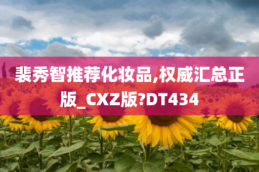 裴秀智推荐化妆品,权威汇总正版_CXZ版?DT434