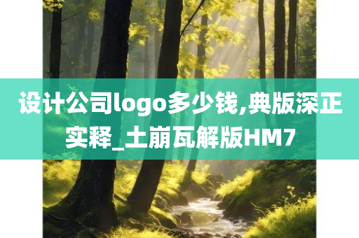 设计公司logo多少钱,典版深正实释_土崩瓦解版HM7