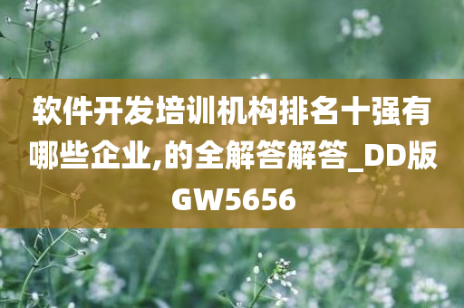 软件开发培训机构排名十强有哪些企业,的全解答解答_DD版GW5656