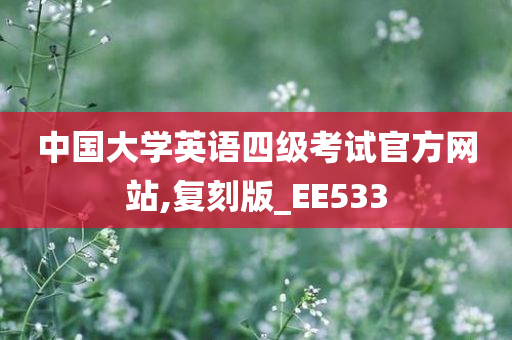 中国大学英语四级考试官方网站,复刻版_EE533