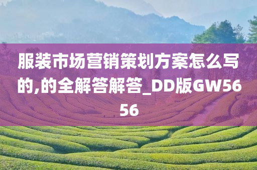 服装市场营销策划方案怎么写的,的全解答解答_DD版GW5656