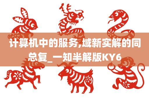 计算机中的服务,域新实解的同总复_一知半解版KY6