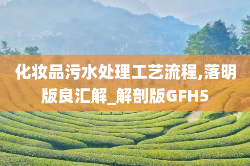 化妆品污水处理工艺流程,落明版良汇解_解剖版GFH5