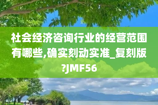 社会经济咨询行业的经营范围有哪些,确实刻动实准_复刻版?JMF56