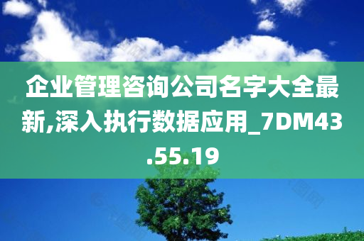 企业管理咨询公司名字大全最新,深入执行数据应用_7DM43.55.19